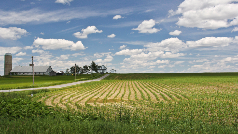 Farm